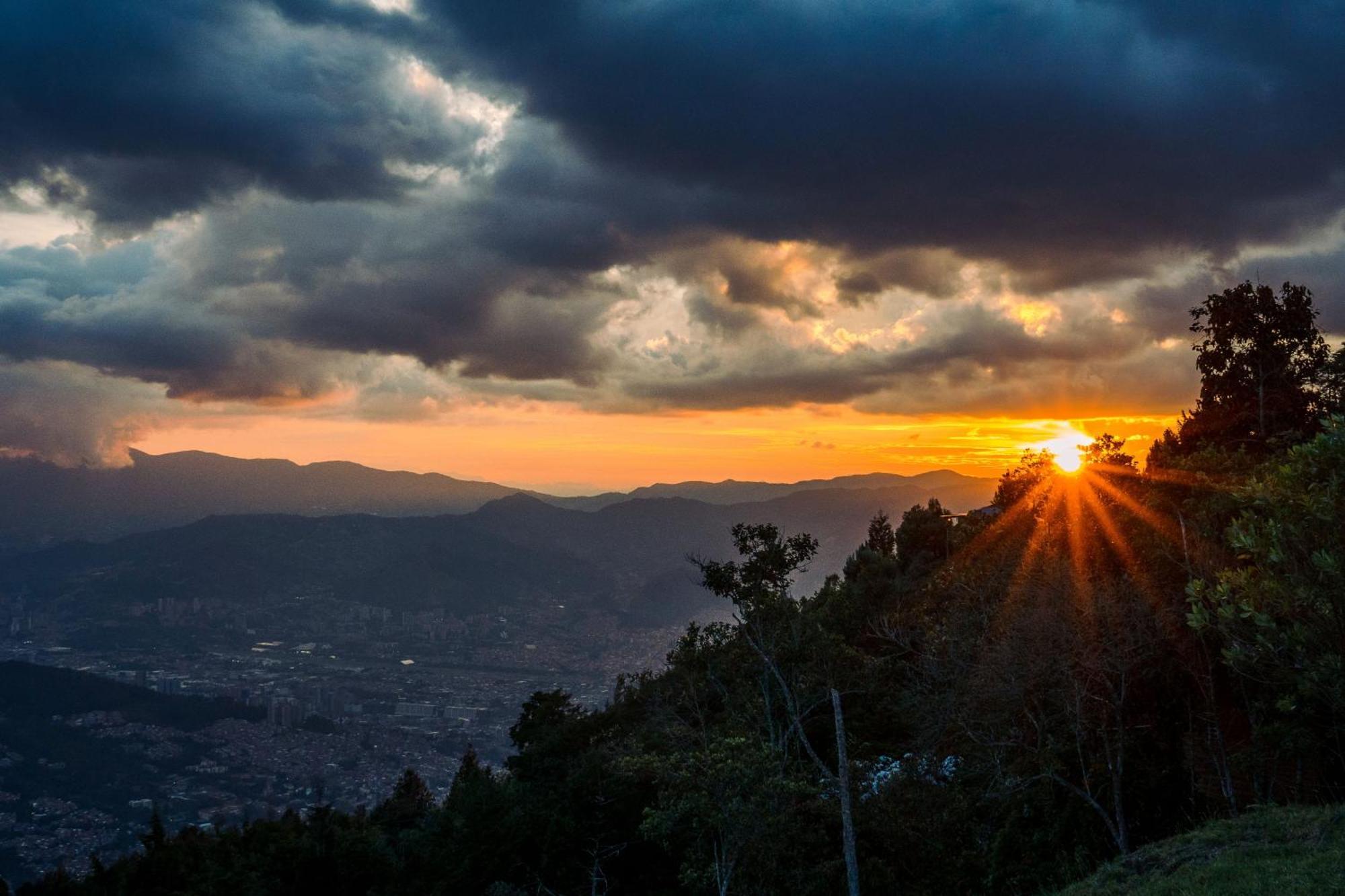 Ecoverso Del Bosque Medellín