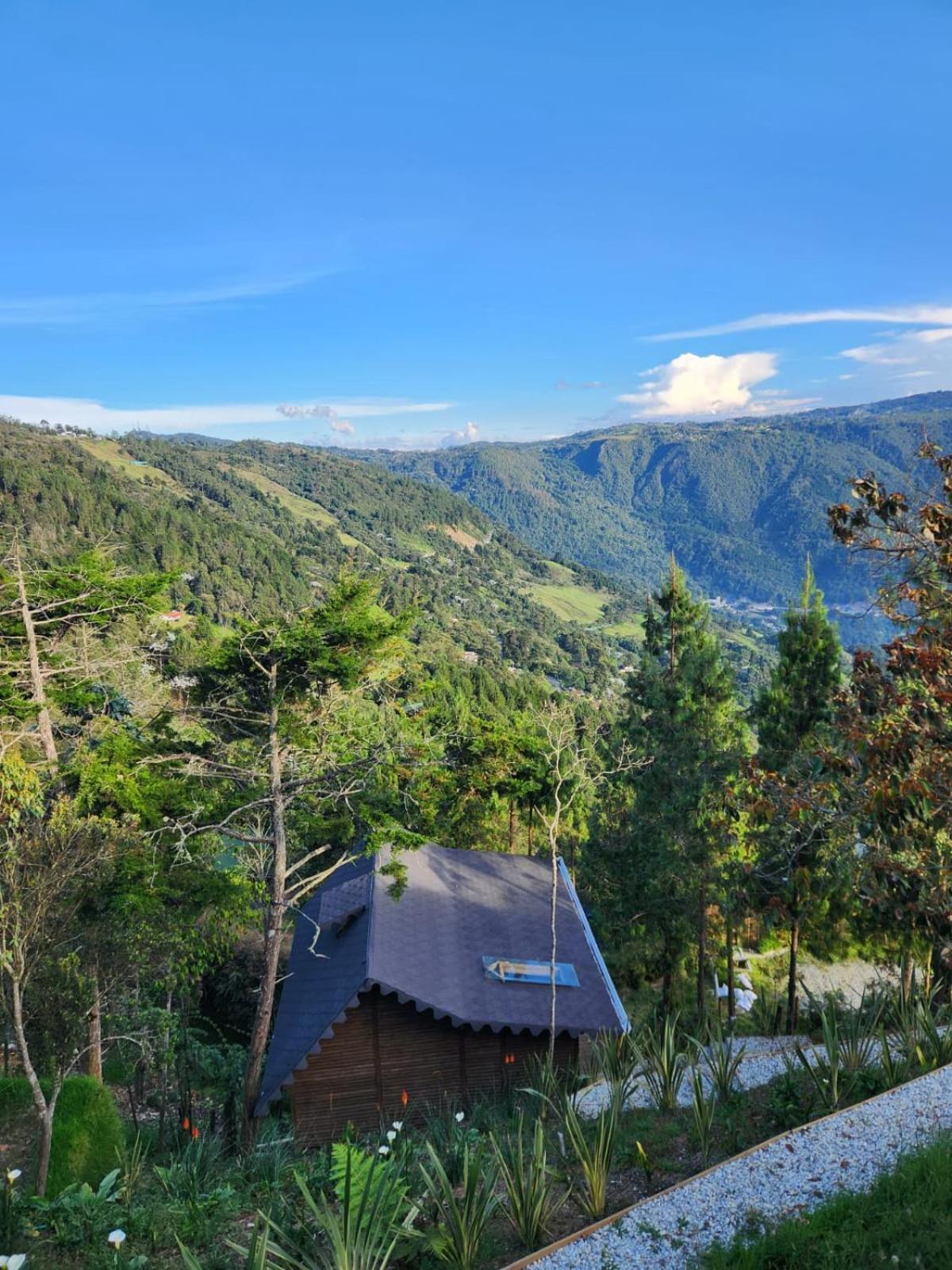 Chalet Ecoverso Del Bosque