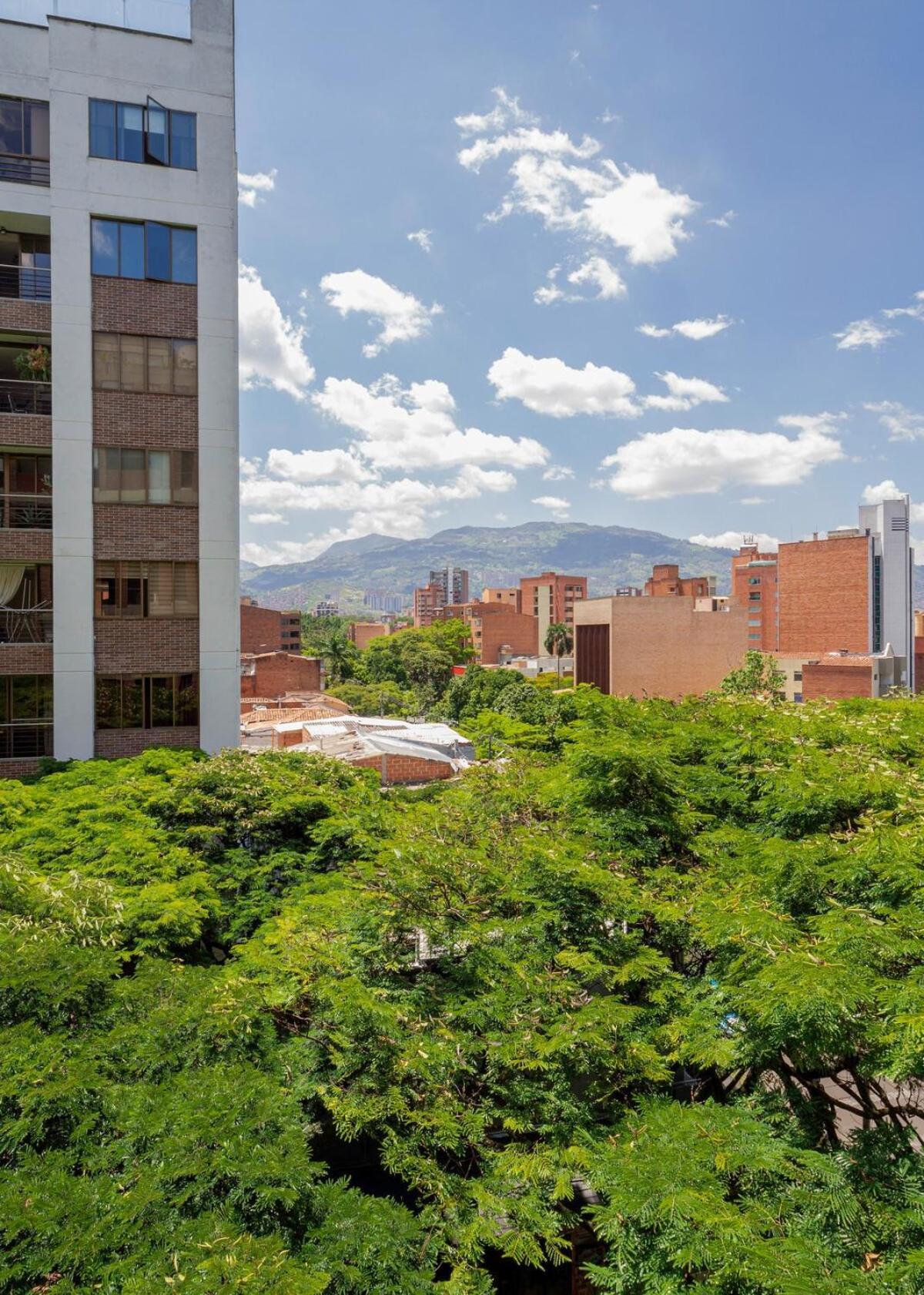 Apartamento Cozy And Bright Loft In Laureles