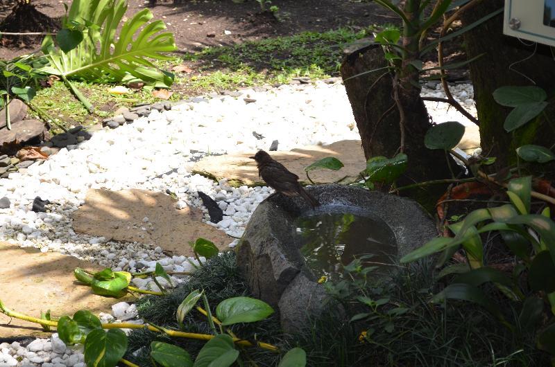 Aromax Del Campestre Medellín